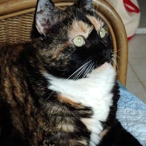 Meet your Posher, Joan